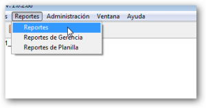 Menu Reportes